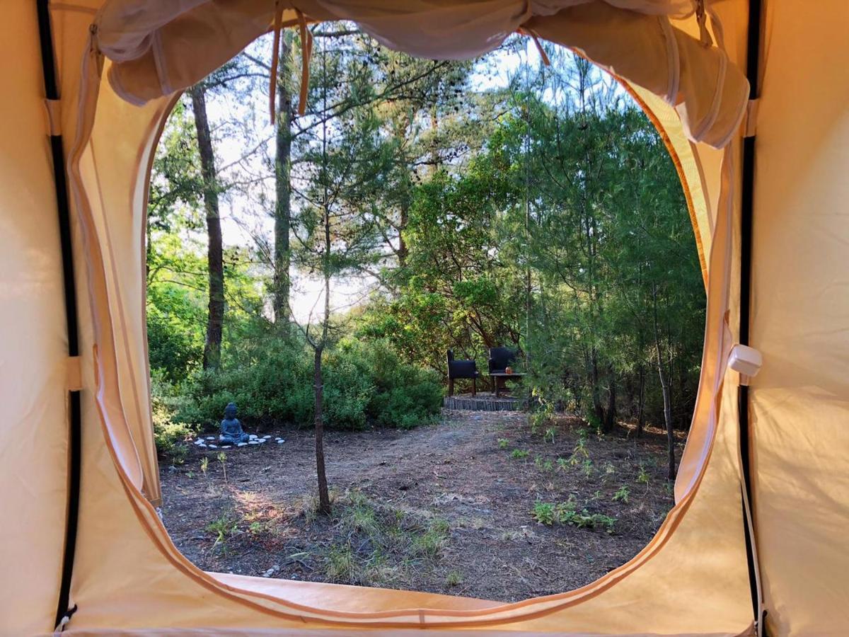 Hotel Vinsan Glamping & Wellness Centre Eleousa Exterior foto