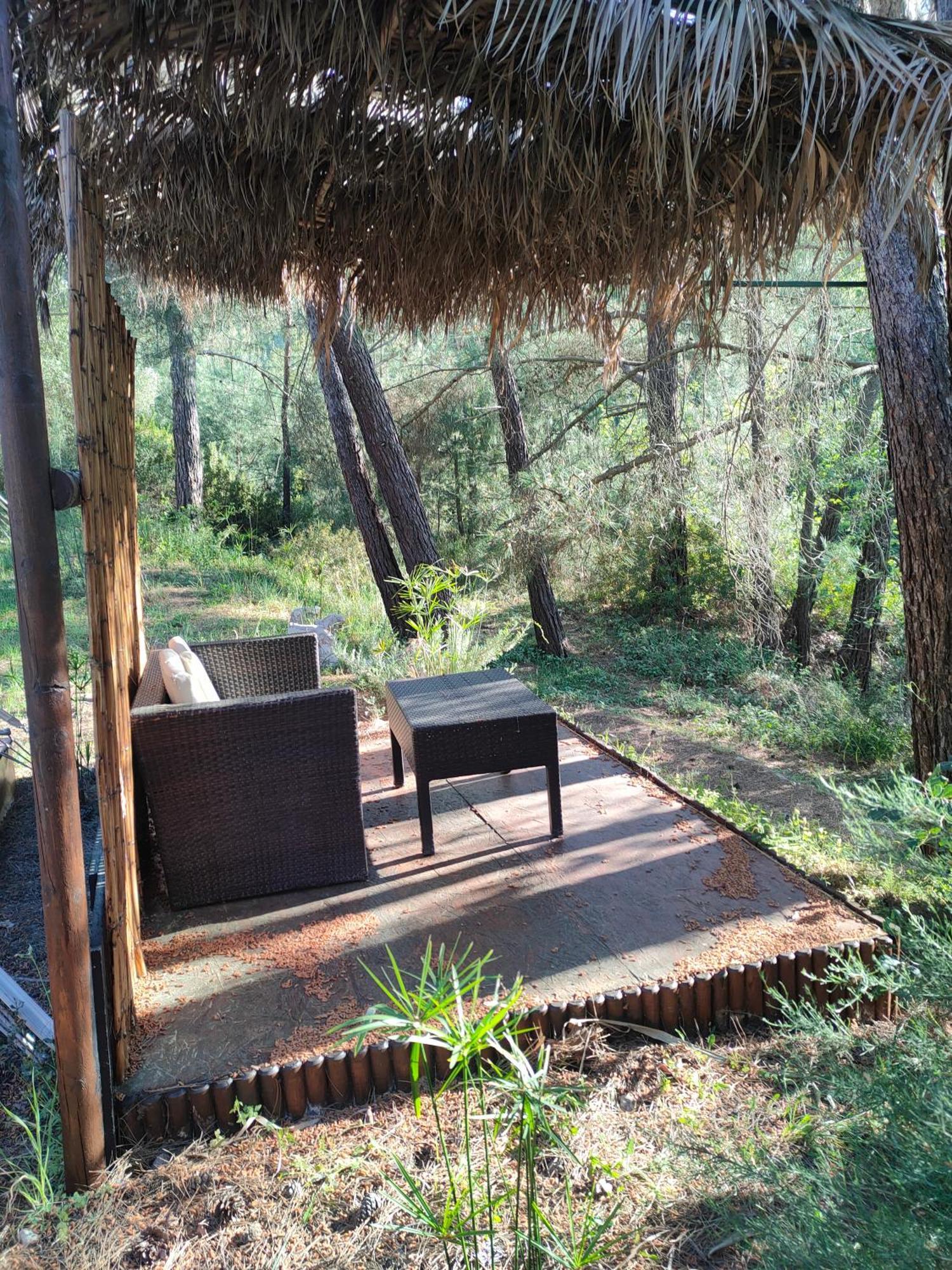 Hotel Vinsan Glamping & Wellness Centre Eleousa Exterior foto