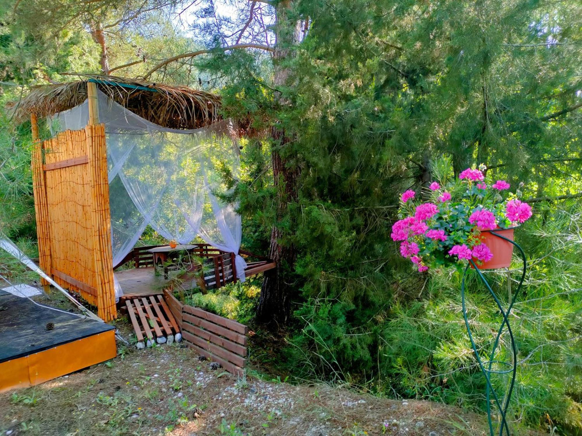 Hotel Vinsan Glamping & Wellness Centre Eleousa Exterior foto